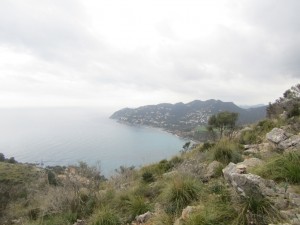 IMG_5120 (Medium)